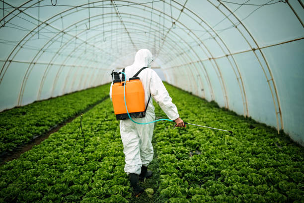 Best Commercial Pest Control Services  in Newcastle, WY