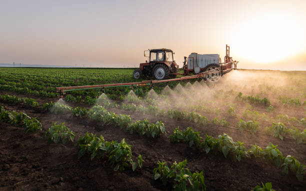 Best Ant Control Services  in Newcastle, WY