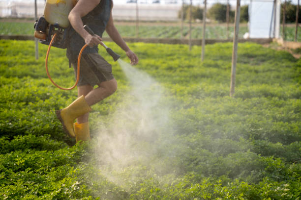 Best Emergency Pest Control  in Newcastle, WY