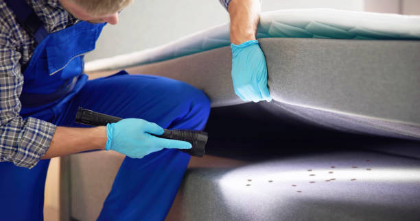 Best Ant Control Services  in Newcastle, WY