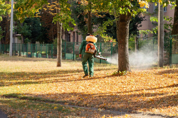 Best Local Pest Control Services  in Newcastle, WY